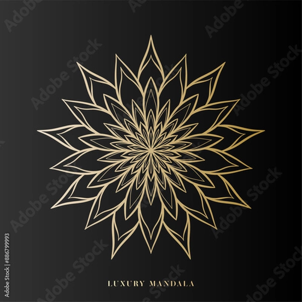 Fototapeta Luxury Mandala Art Design Vector with golden color premium luxury, on black background, Design for a wallpaper Paint, illustration Vector EPS 10