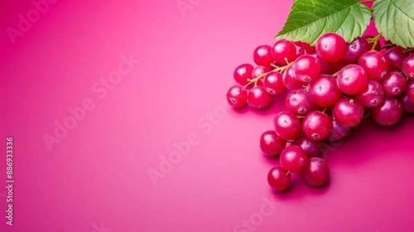 Fototapeta  Red berries with green leaves on a pink backdrop, crowned by a single green leaf above