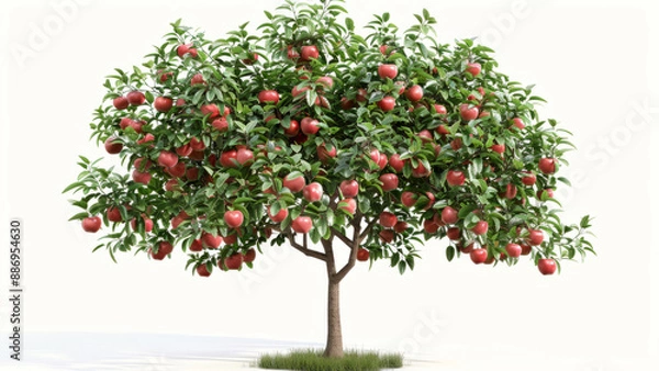 Fototapeta A realistic photo of an apple tree with lush green leaves and ripe red apples, set against a pure white background 