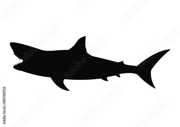 Fototapeta Isolated black silhouette of a toothy shark on a white background. Vector in EPS format.