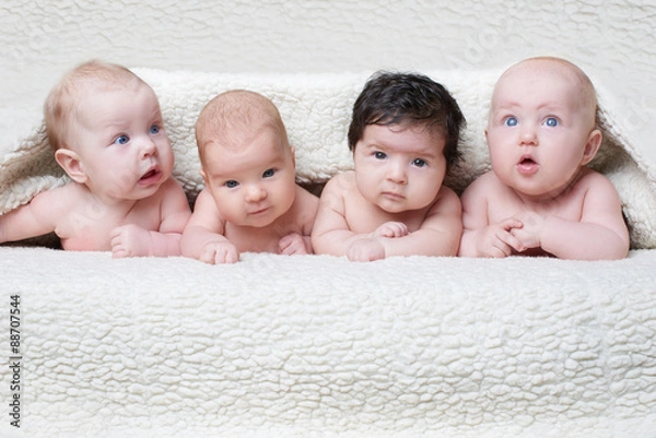 Obraz cute babies on light background
