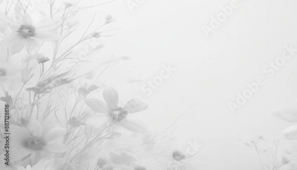 Fototapeta White paper cloud texture background