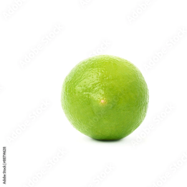 Obraz Lime fruit isolated over the white background