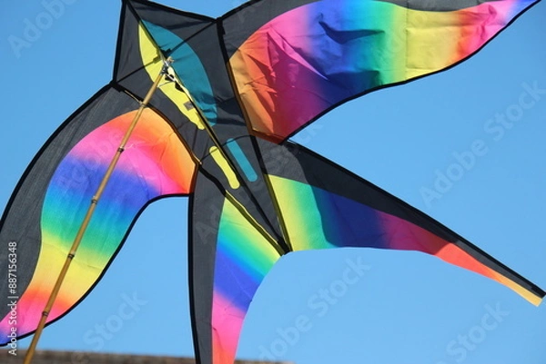 Obraz Colorful kite