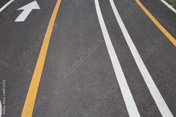 Obraz Bicycle Lanes in Park