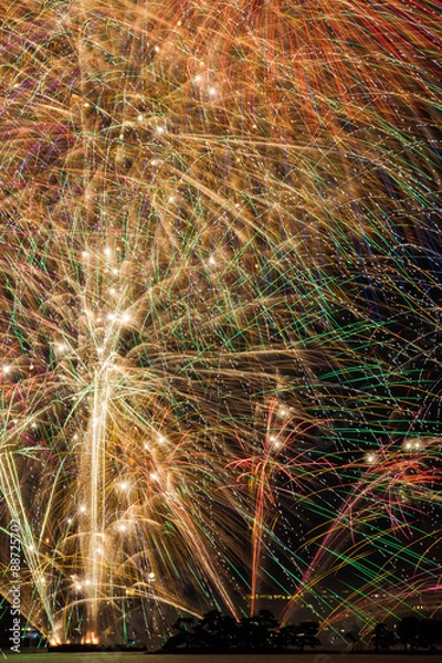 Obraz 花火/松江水郷祭