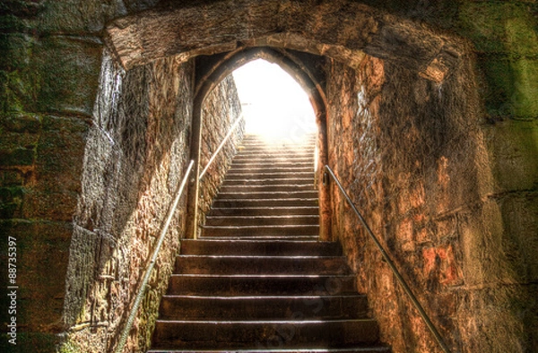 Obraz Into the light