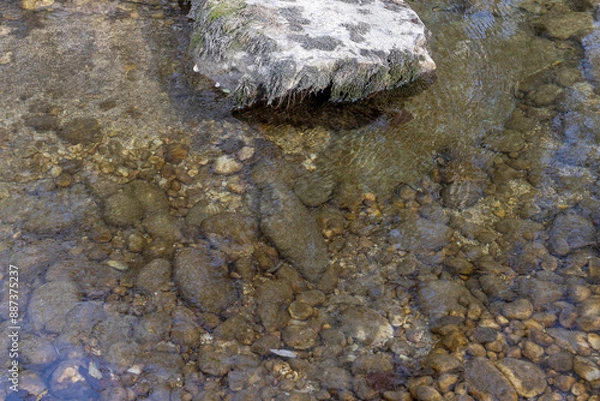 Fototapeta A shallow riverbed with an exposed rocky bottom, a small stream and a flow of water, autumn in nature