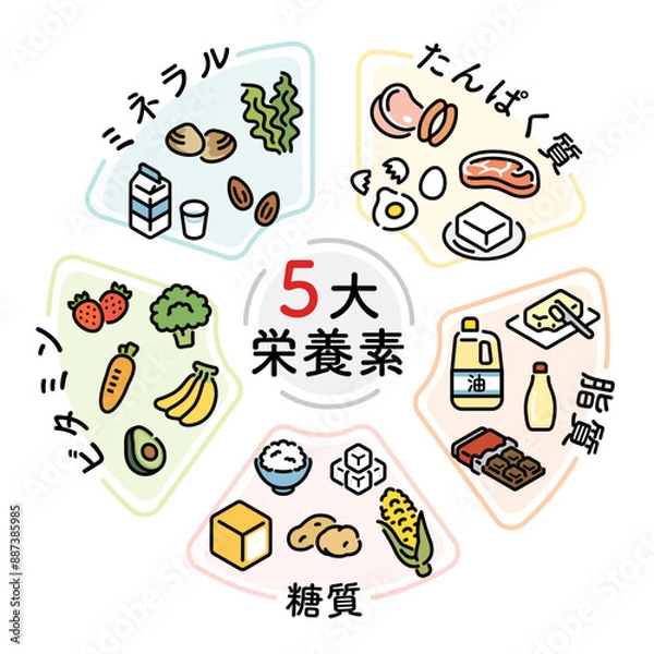 Obraz 五代栄養素