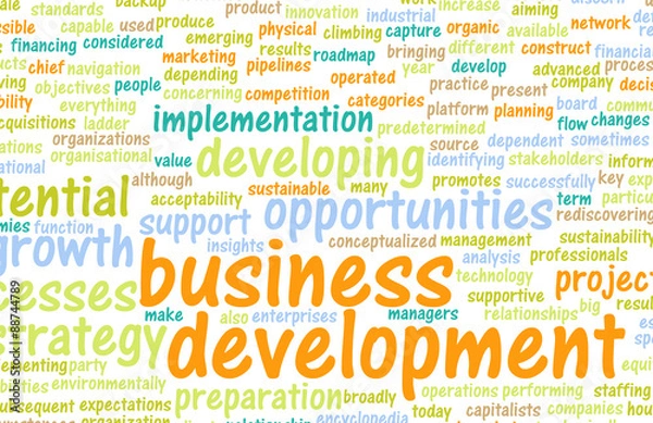 Fototapeta Business Development