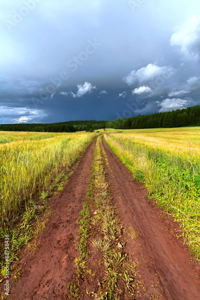 Obraz Rural road, meadow