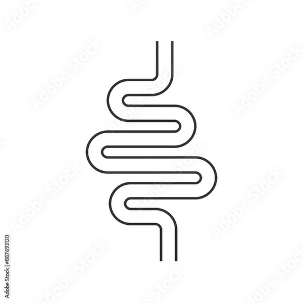 Obraz Intestinal tract icon on white. Vector