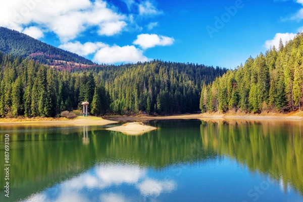 Fototapeta lake synevyr in mountains on a sunny day. forest reflecting in the water. beautiful scenery of ukraine in autumn season