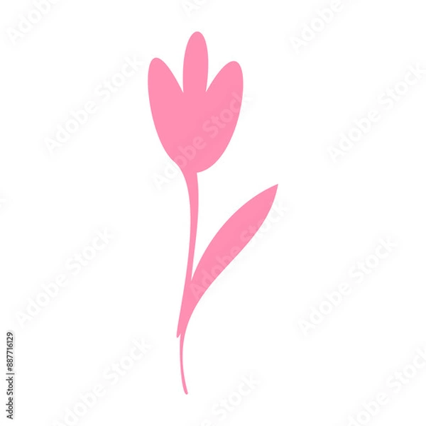 Fototapeta Vector silhouette of a pink tulip. Floral design, flower logo. Floral decorative element.