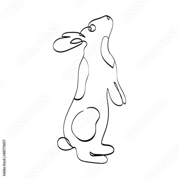 Fototapeta Vector illustration of a rabbit in one line style. Linear animal. Easter bunny.