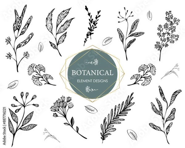 Fototapeta Collection of vector stylized floral elements. Set of decorative twigs for design. Elements for floral logos. Floral decor for wedding invitations. Flower clipart.