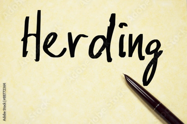 Fototapeta herding word write on paper