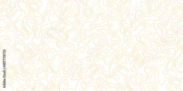 Fototapeta Abstract topography map, topology line map, geographic abstract grid vector background. 