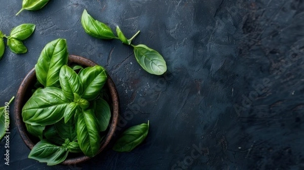Fototapeta Fresh Basil on Dark Background