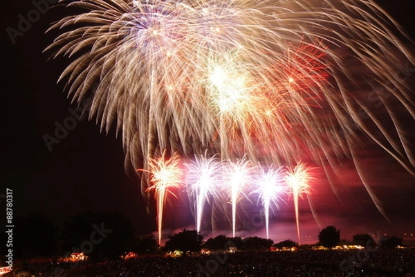 Obraz 夏の打ち上げ花火