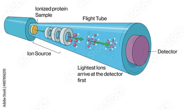 Fototapeta Detailed Vector Illustration of Mass Spectrometry Principle and Instrumentation on White Background.