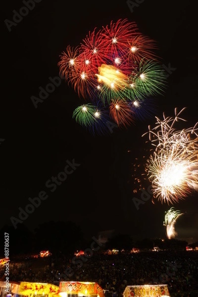 Obraz 夏の打ち上げ花火