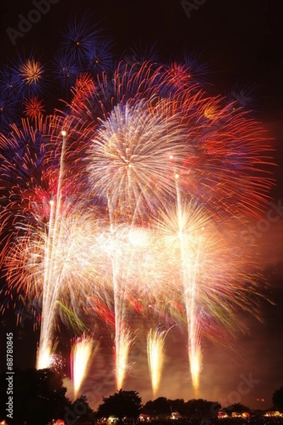 Obraz 夏の打ち上げ花火