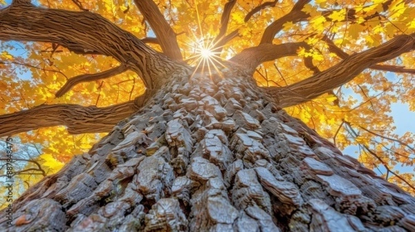 Fototapeta Stunning Ultra High Definition Wallpaper Visuals: Diverse Artistic Inspirations from Nature, Architecture, and Abstract Design