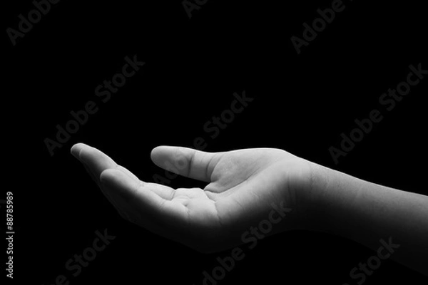 Fototapeta Kobiety puste ręce, dłonie