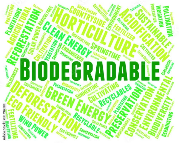 Fototapeta Biodegradable Word Represents Biodegradation Words And Decompose