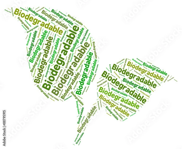 Fototapeta Biodegradable Word Means Degrade Text And Decomposing