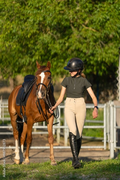 Fototapeta Young Equestrian Leading Horse in Sunny Paddock