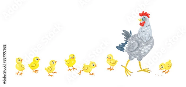 Fototapeta Chicken family. Mother hen and seven funny yellow chickens. Isolated on white background. Vector flat illustration.