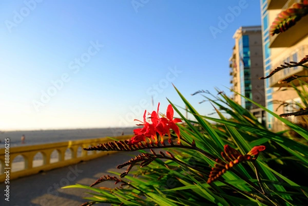 Fototapeta Seaside Prominade in Seaside Oregon