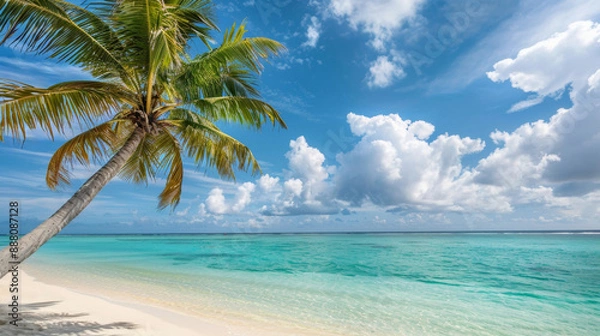 Obraz A beach scene featuring tall palm tree against a backdrop of crystal blue water. The sandy shore and the bright sun, relax in the tropical paradise. Travelling concept. Generative AI.