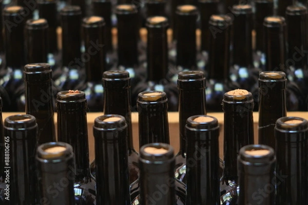 Fototapeta 
Wine bottles aging in a Georgian cellar