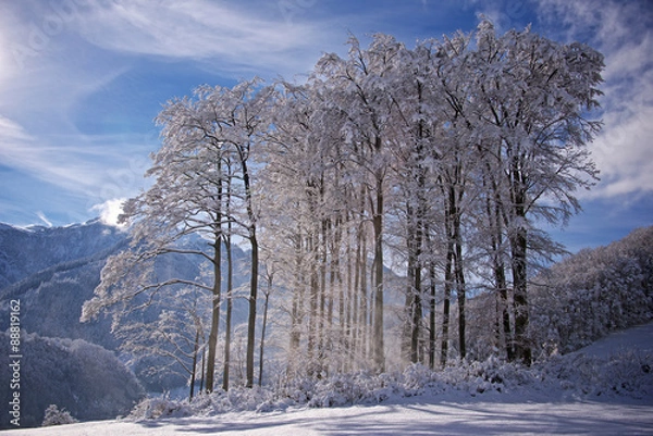 Obraz Winter landscape