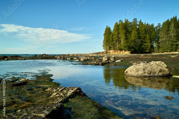 Obraz Botanical Beach Shoreline Landscape Port Renfrew. Botanical Beach rocky shelf shoreline in Juan de Fuca Provincial Park near Port Renfrew BC. 

