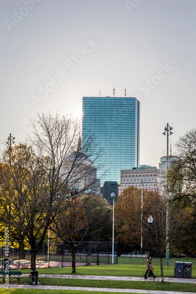 Fototapeta overlooking john hancock building from boston common