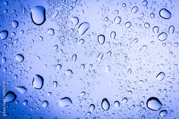 Obraz Abstract Water drop on grass from nature. 