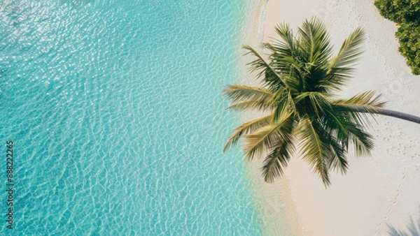 Obraz Sunny white sand beach with coconut palm and turquoise sea. Summer vacation and relax concept. Perfect for banner and advertising. Copy space. Space for text. Generative AI. 