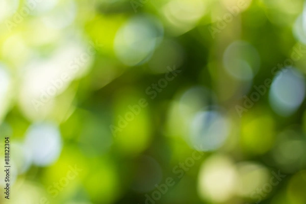 Obraz Natural green blurred and bokeh background,Abstract backgrounds.