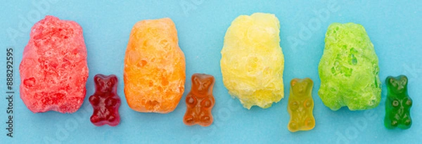 Fototapeta A Line of Freeze Dried Gummy Bear Shaped Candies Isolated on a Blue Background