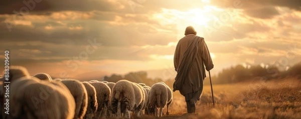 Fototapeta A shepherd leads a flock of sheep towards a golden sunset.