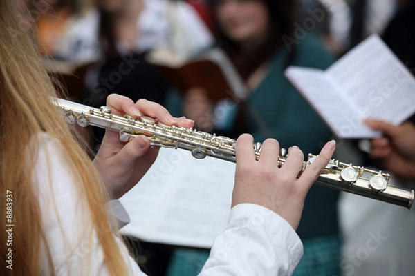 Obraz Making music in harmony