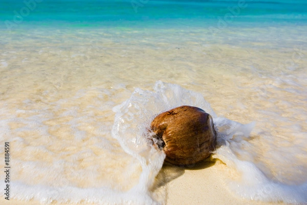 Fototapeta Kokosnuss