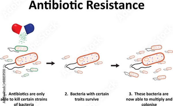 Fototapeta Antibiotic Resistance