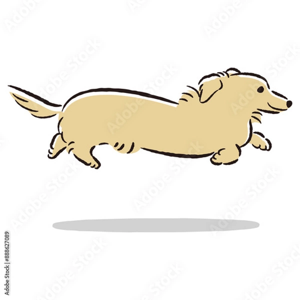 Obraz 走るダックスフンドのかわいい手描きイラスト