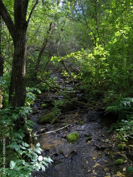 Fototapeta Ручей Лалетина