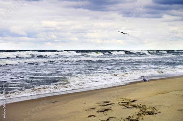 Obraz The Baltic Coast